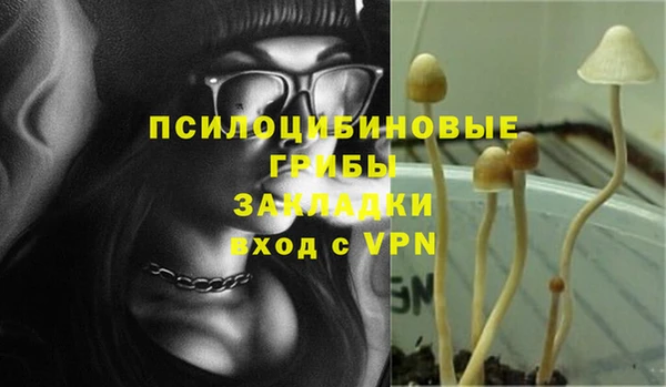 героин Алексин