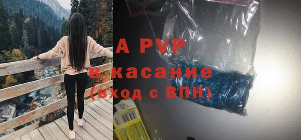 гашик Алексеевка