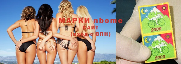 гашик Алексеевка