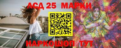 крисы Гатчина