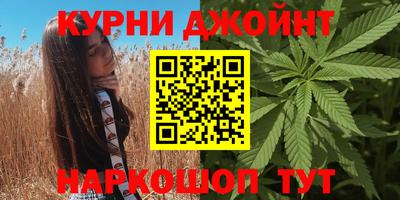 крисы Гатчина
