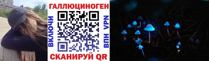 Галлюциногенные грибы Psilocybine cubensis Нефтекамск