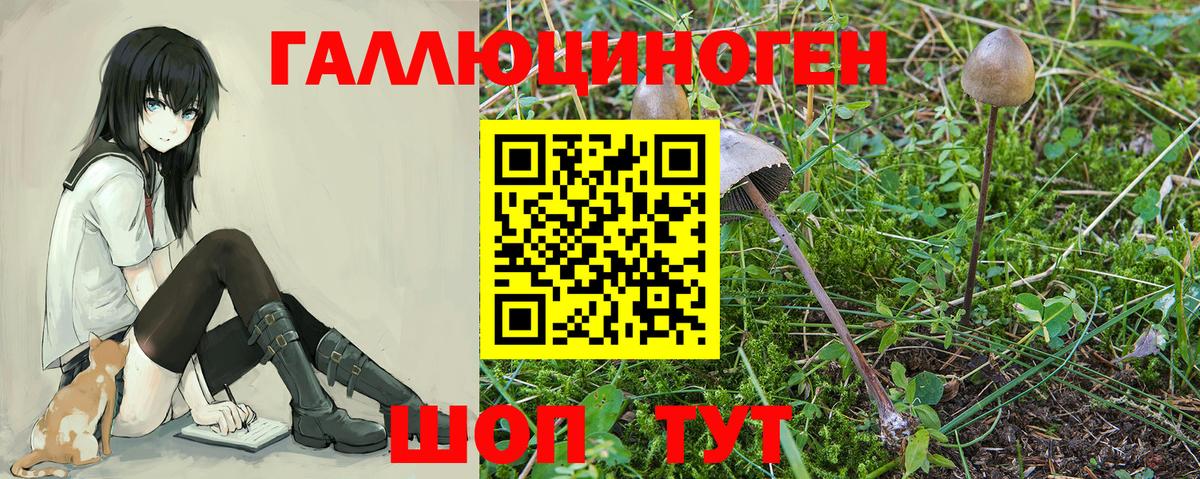 ГАШ  Вход с VPN  Нефтекамск  Меф кристаллы  ТГК  Бошки Шишки  ГАШ  COCAIN 