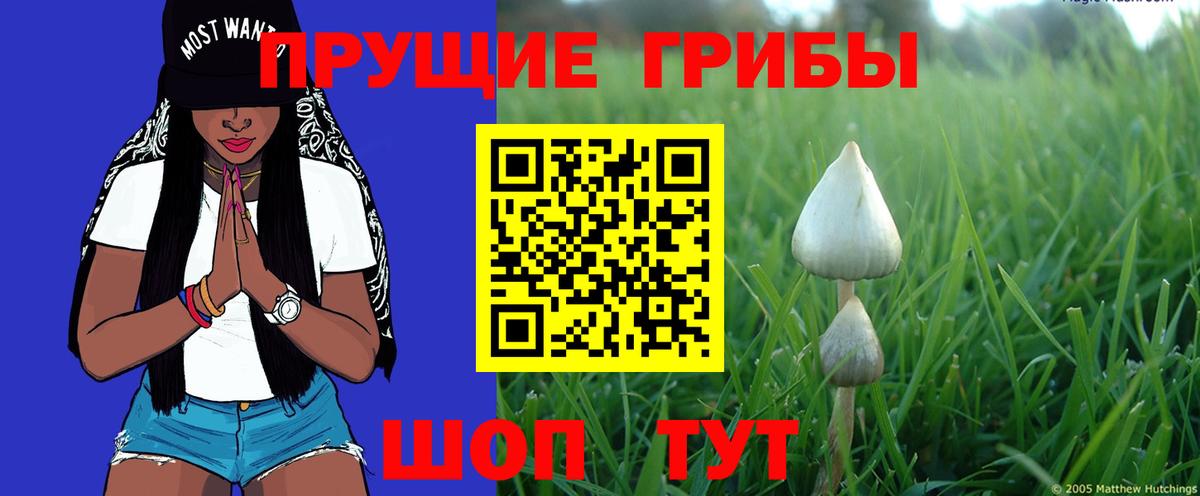 Псилоцибиновые грибы MAGIC MUSHROOMS Нефтекамск